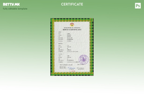 модерен стил на Шведска витална евиденција за извод од матична книга на родени П